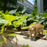 ユーザー画像