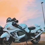 userPhoto