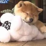 ユーザー画像
