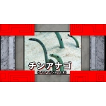 深海軍鶏
