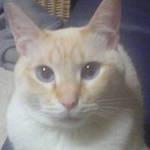 userPhoto