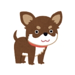 わんころ助