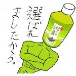 綾鷹