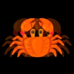 yk