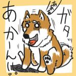 zuaki