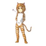 せっか