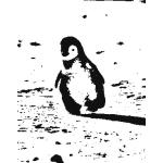 としぼう