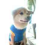 みこまる