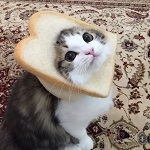 ふぁ～