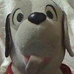 ビルダー犬