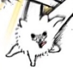 userPhoto