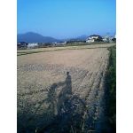 きょーた