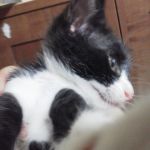 まっちょん