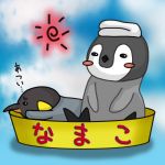 海鼠(なまこ)