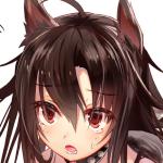 くのかや（kunokaya）