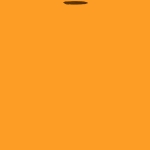 userPhoto