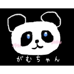 神聖がむちゃん2世