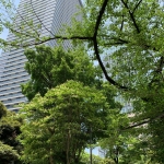 たかたかたか