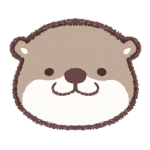 userPhoto