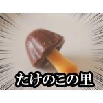 レイ