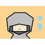 甲斐