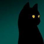 黒怒虎P