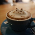 かぷちーの