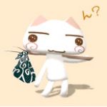 cotton