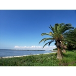 葛西臨海公園