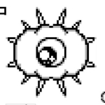 クラッコ