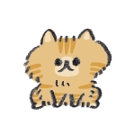 userPhoto