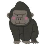 ちきちきチャンネル