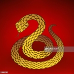 5hige－－－－－－－－－－！