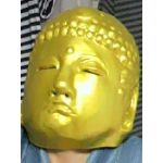 しんたん