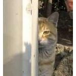 たかぷ