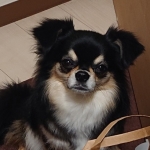 ＴＡＭＡＫＩ