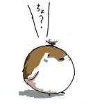 珠雀