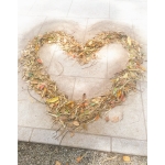 userPhoto