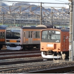 ちゅうとく