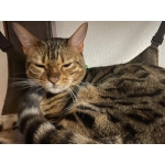 ユーザー画像