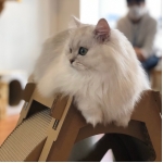 ユーザー画像
