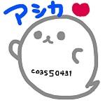 アシカ