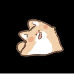 いずも