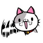 katz