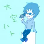 大空ハト