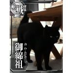 おわたそ