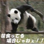 shuichi0725