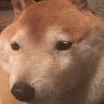userPhoto