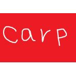 carp02kouki