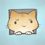 天井猫